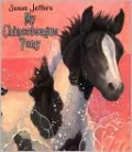 My Chincoteague Pony