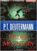 Spider Mountain