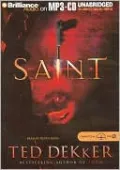 Saint (Paradise Series #2)