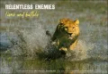 Relentless Enemies: Lions and Buffalo