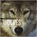 Face to Face With Wolves