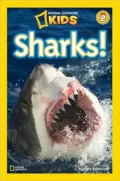 Sharks! (National Geographic Readers Series)
