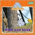 Hide and Seek