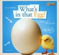 What's in That Egg?: A Book about Life Cycles