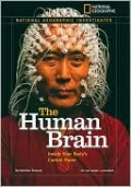 The Human Brain: Inside Your Body's Control Room