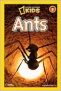 Ants (National Geographic Readers Series)
