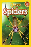 Spiders
