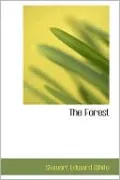 The Forest