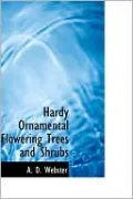 Hardy Ornamental Flowering Trees And Shrubs