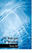 The Naturalist in Nicaragua (Large Print Edition)