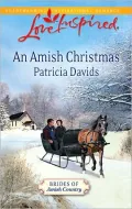 An Amish Christmas (Brides of Amish Country Series)