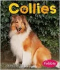 Collies