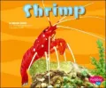 Shrimp