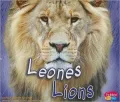 Leones/Lions