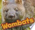 Wombats by Sara Louise Kras — book cover