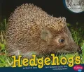 Hedgehogs