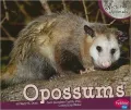Opossums