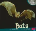 Bats
