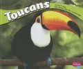 Toucans