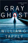 Gray Ghost (Stoney Calhoun Series#2)