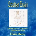 Scatter Brain - Ramblings of a Lovelorn Submariner at Sea