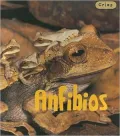 Anfibios