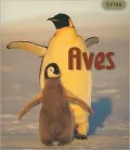 Aves