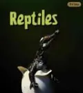 Reptiles