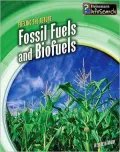 Fossil Fuels and Biofuels