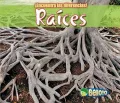 Raices /  Roots