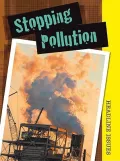 Stopping Pollution