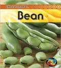 Bean (2nd Edition)