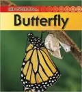 Butterfly: 2nd Edition