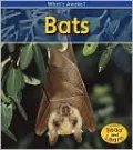 Bats