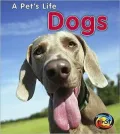 Dogs