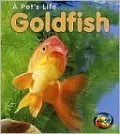 Goldfish