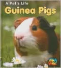 Guinea Pigs