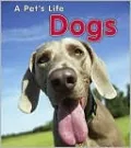 Dogs