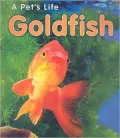 Goldfish