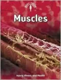 Muscles