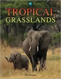 Tropical Grasslands