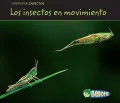 Los insectos en movimiento /  Bugs on the Move