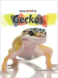Geckos