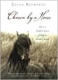 Chosen by a Horse: How a Broken Horse Fixed a Broken Heart