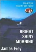 Bright Shiny Morning