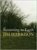 Returning to Earth