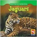 Jaguars