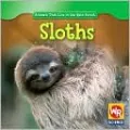 Sloths