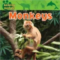 Monkeys