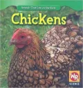 Chickens